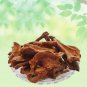 NATURAL ROHIDA CHHAL - ROHIRA CHAAL - ROHITAK CHAL - TECOMELLA UNDULATE