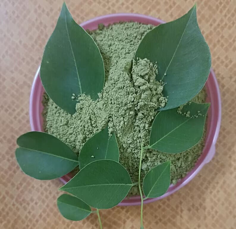 Shisham Leaves Powder/Shisham Leaf /Sheesham Powder/Sissoo /Indian Rosewood