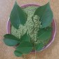 Shisham Leaves Powder/Shisham Leaf /Sheesham Powder/Sissoo /Indian Rosewood