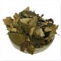 NATURAL PRISHAT PARNI - PRISHTPARNI - PRISHT PARNI - URARIA PICTA