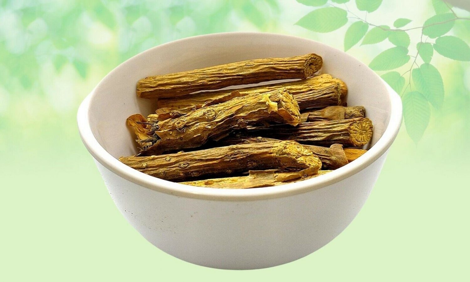 NATURAL GILOY STEM - GILOI - GUDUCHI - AMRITA - AMRUTA - TINOSPORA CORDI