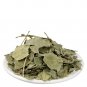 BEL BAEL LEAVES - BEL PATTA - BEL PATRA - BAILPATR - BAIL PATR - AEGLE MARMELOS