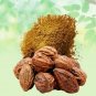 HARAD CHILKA POWDER WITHOUT SEEDS - HARAD BADI PILI POWDER - TERMINALIA CHEBULA