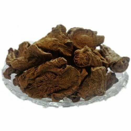 RED BEHMAN LAL BEHEN SALVIA HAEMATODES GARDEN COMMON DALMATION SAGE