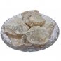 Godanti-Raw Herbs-Gowdanti-Harital-Jadi Booti-Single Herbs