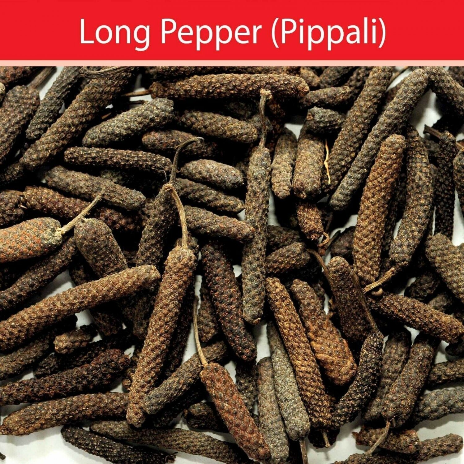 LONG PEPPER PIPALI PIPPALI PIPER LONGUM - Whole Organic Pepper - Free Shipping