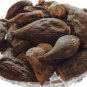 SALAB GATTA - SALAM GATTA - SAALAM GUTTA - SAALAB GATTA - ORCHID ROOT