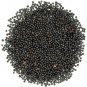 BLACK MUSTARD - SARSO KALI - MOHARI - SARSON KAALI - BRASSICA NIGRA