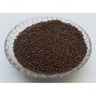 BLACK MUSTARD - SARSO KALI - MOHARI - SARSON KAALI - BRASSICA NIGRA