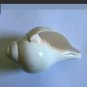 Genuine Vamavarti Shankh / Conch Shell Horn (White, 6") Free Ship