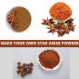 BADIAN KHATAI POWDER- BADIYAN KHATAI - CHAKRA PHOOL - ILLICIUM VERUM- STAR ANISE