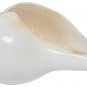 Shankh Vamavarti BAJNEWALA Dattatreya Conch Shell Loud &Big Blowing Shankh 6inch