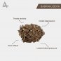 Badranj Boya - Billilotan Dried - Catnip - - Nepeta Hindostana Raw Herbs