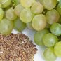Dry Grape Seed Whole Pure Organic Indian Herb Angoor Beej Edible - Indian Herb