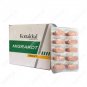 2 X Ayurveda Kottakkal Arya Vaidya Sala MIGRAKOT TABLET - 100Tab Free Shipping