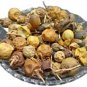 KATERI FRUIT - KATEHLI FAL - SOLANUM XANTHOCARPUM - BHATKATIYA - KANTAKARI