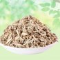 KASNI (PANCHANG) - KASINI - KAASNI - CHICORY - CICHORIUM INTYBUS