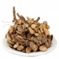 Champawati-Plumeria Obtusa dried-Champavati-Jadi Booti- Single Herbs- Raw Herbs