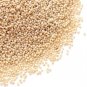 White Poppy Seeds,Khus Khus, Khas Khas, Posta Dana Indian Organic and Pure