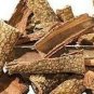 NEEM BARK AZADIRACHTA INDICA BEAD TREE HOLY TREE INDIAN LILAC MARGOSA