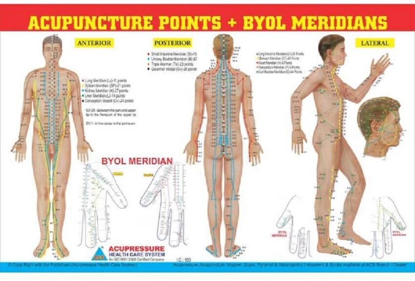 Acupuncture Points Chart Meridians Educational For Professionals- Set of 3