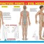 Acupuncture Points Chart Meridians Educational For Professionals- Set of 3