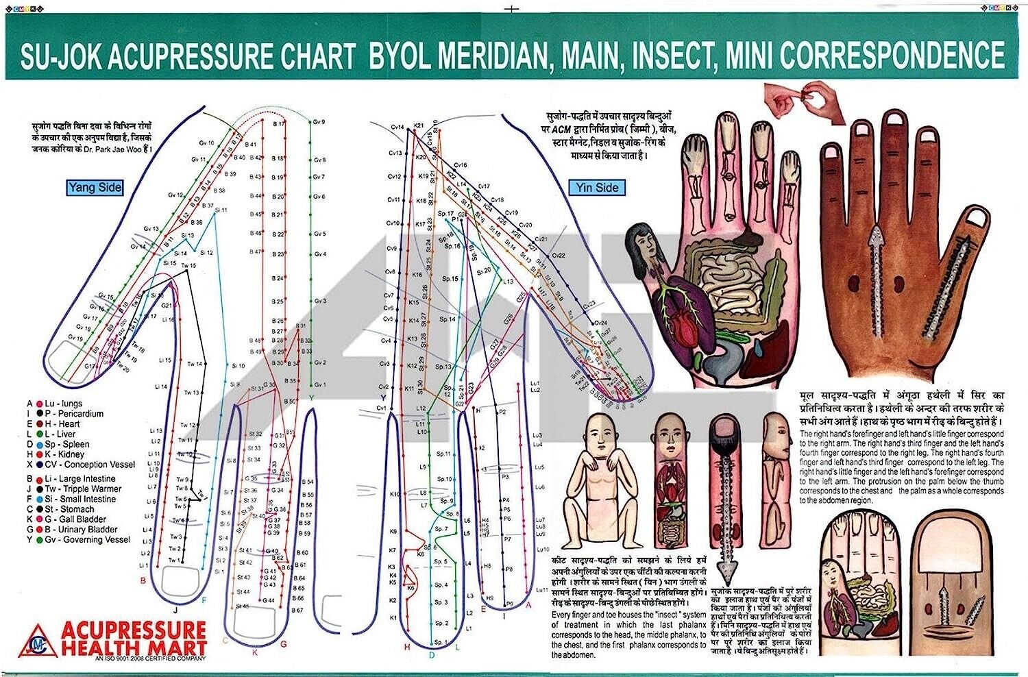 Su-Jok Correspondence Chart For Quick Study Educational For Professionals