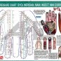 Su-Jok Correspondence Chart For Quick Study Educational For Professionals