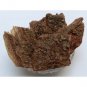 NATURAL SHIRISH CHAAL - SHIRISHA BARK - ALBIZIA LEBBECK