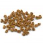 Yellow Datura Seeds - Dhatura Beej Pilli - Datura Stramonium - Thorn apple