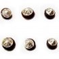Sujok Star Magnets 100 Pcs, Slim Jimmy, Acupressure Rings, Micropore Tape