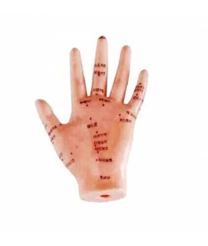 Human Hand Acupuncture Model Sculpture Professional Medical Teaching