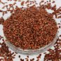 ALSI FLAX SEEDS - LINSEED -LINUM USITATISSIMUM - TUKHM- E -KAT- REACH IN OMEGA-3