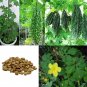 NATURAL BITTER GOURD SEEDS - KARELA BEEJ - MOMORDICA CHARANTIA
