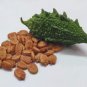 NATURAL BITTER GOURD SEEDS - KARELA BEEJ - MOMORDICA CHARANTIA