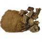 Anantmool Madrasi Root Powder-Hemidesmus Indicus-Nannari-Anantamula-Raw Herbs