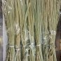 Natural Darbha Grass,Kusha Dry Grass 10 inch for Pooja ,Havan Yagan 5 Bundle