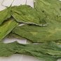 Thorn-Apple-Jamestown Weed-Datura Stramonium-Datura Dried Leaves- Angels Trumpet