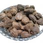 ELAICHI BADI - ILAICHI BIG - BLACK CARDAMOM - ELETTARIA CARDAMOMUM