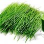 Starwest Botanicals, Organic Barley Grass Powder ((Hordeum Vulgare)