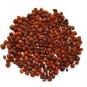 MALKANGNI BEEJ - JYOTISHMATI SEEDS - CELASTRUS PANICULATUS