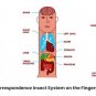 Triorigin Smile Taiji Book by Prof. Park Jae Woo | Smile Academy + 5 Rings