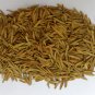 100% PURE KARVA INDRAJAU BITTER OLEANDER HOLARRHENA PUBESCENS WHOLE - 100 GMS