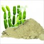 HADJOD EXTRACTS HADJORA VAJRAVALLI CISSUS QUADRANGULARIS POWDER