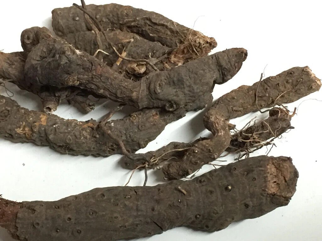 Dried Anjbar-Polygonum Viviparum-Raw Herbs-Anjwar-Alpine Bistort-Jadi Booti