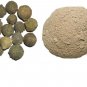 Majuphal Powder Mayaphal Dyer's Oak Gall Nuts Powder Quercus Infectoria