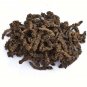 SUGANDH BALA -TAGAR -MUSHK BALA -VALERIAN - VALERIANA WALLICHI - PAVONIA ODORATA