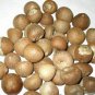21 Pc of Betel Nut Indian Organic Dried Whole Betel Nuts Supari Areca Pooja Puja