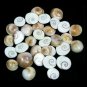 101 Pc of Energized Gomati Chakra Peace and Prosperity Gomti Chakra Pooja Use