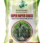 Super Napier & Red Napier Grass Seeds Combo Pack 200g Multi Cut Grass Seed